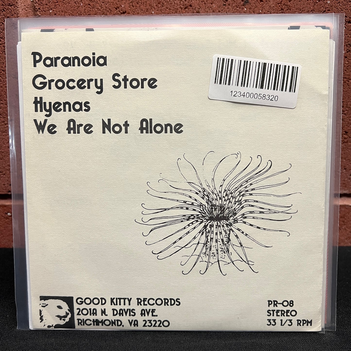 Used Vinyl: The Trouble With Larry "Anemone" 7"