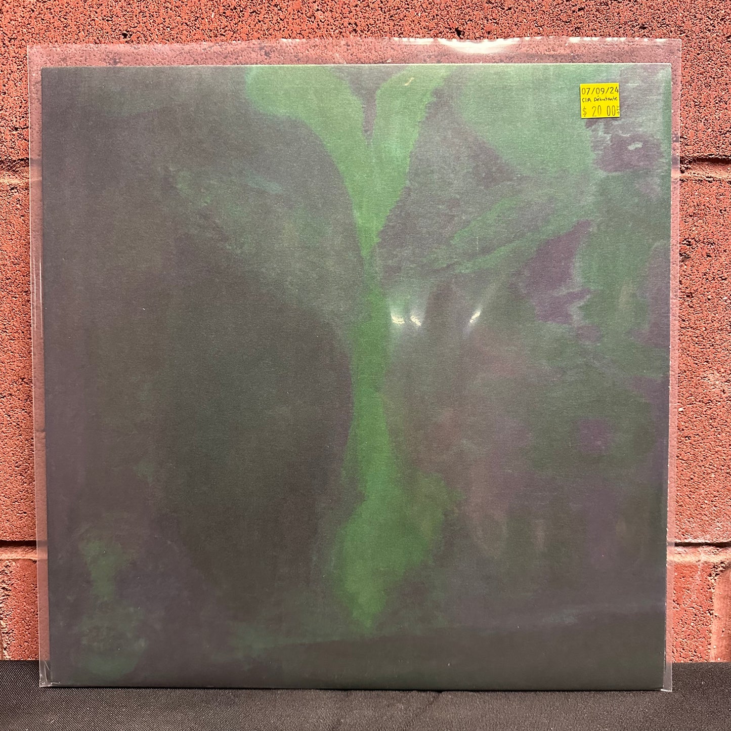 Used Vinyl: C.I.A. Debutante "Music For Small Rooms" 12"