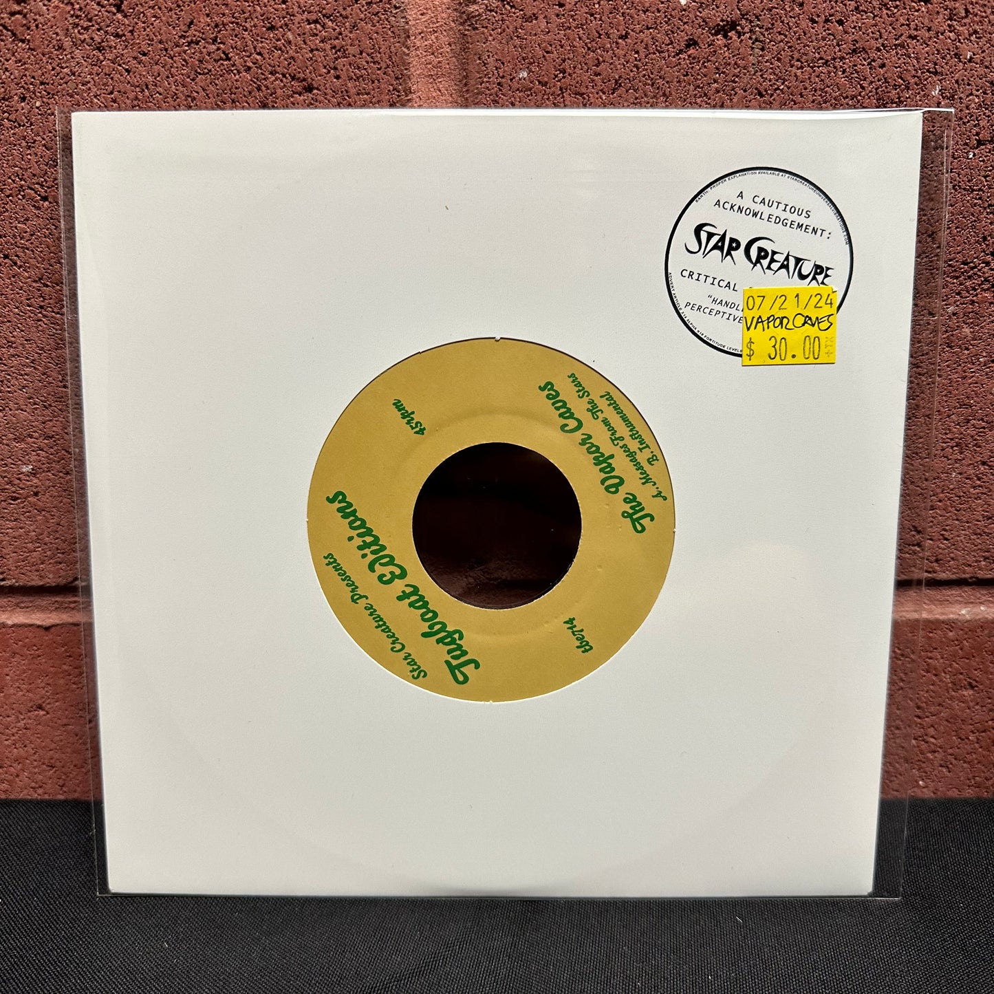 Used Vinyl: The Vapor Caves "Messages From The Stars" 7"