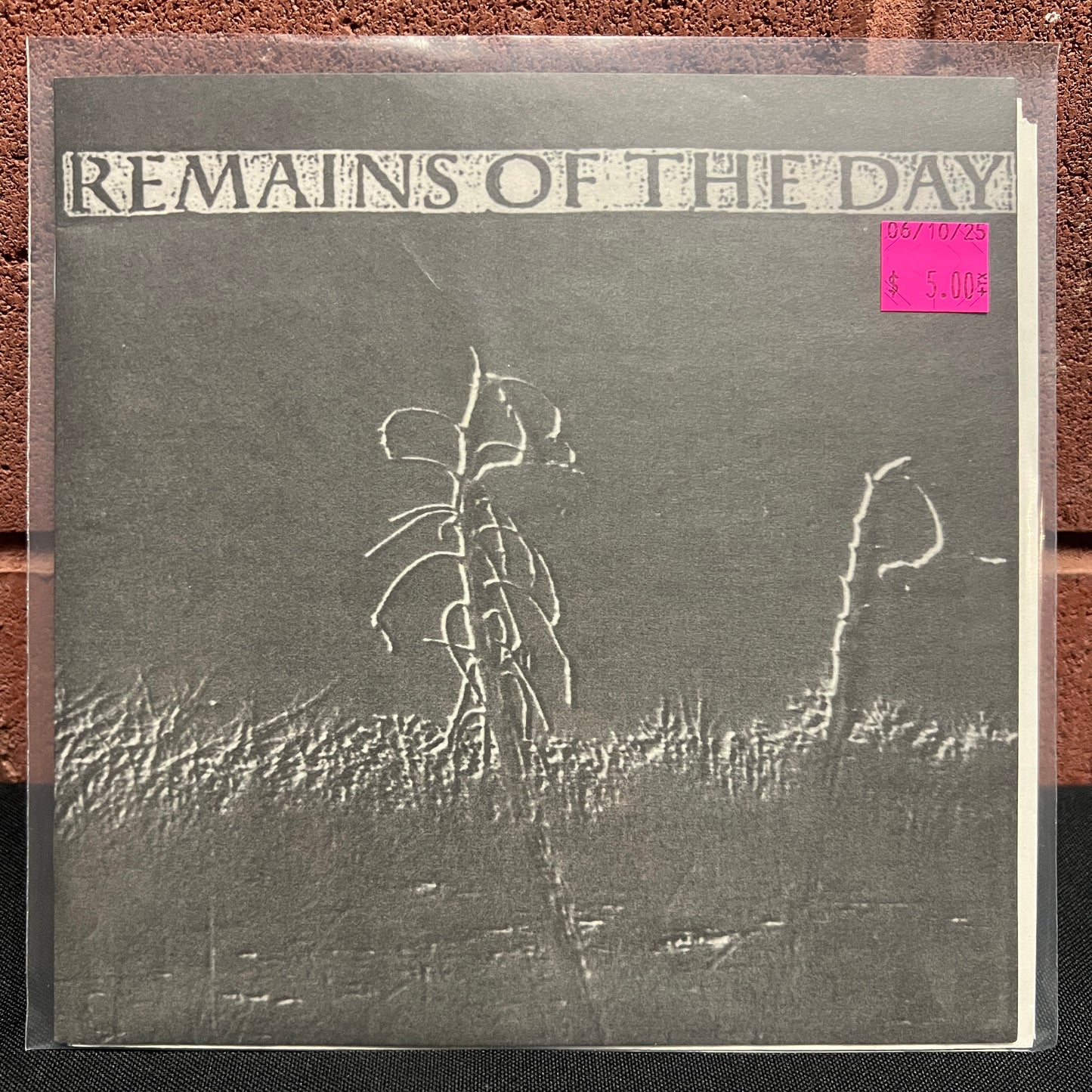 Used Vinyl: Remains Of The Day "Remains Of The Day" 7"