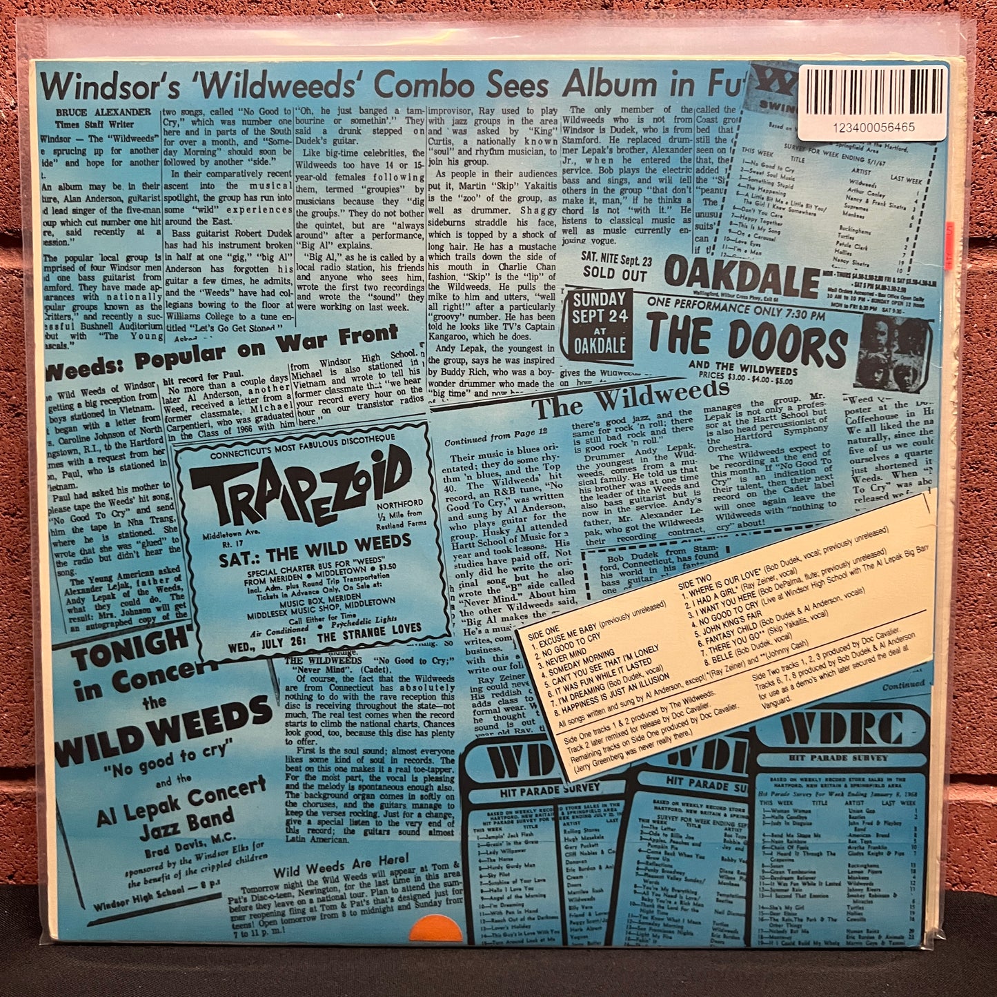 Used Vinyl: The Wildweeds "Greatest Hits...& More!" LP