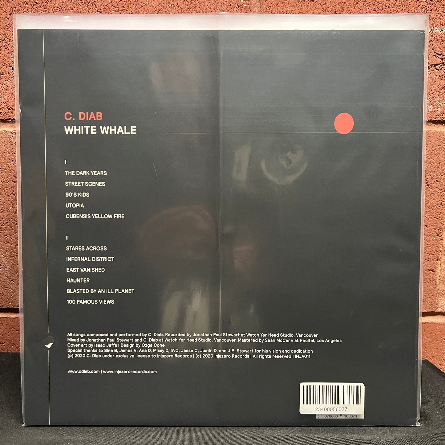 Used Vinyl: C. Diab "White Whale" LP