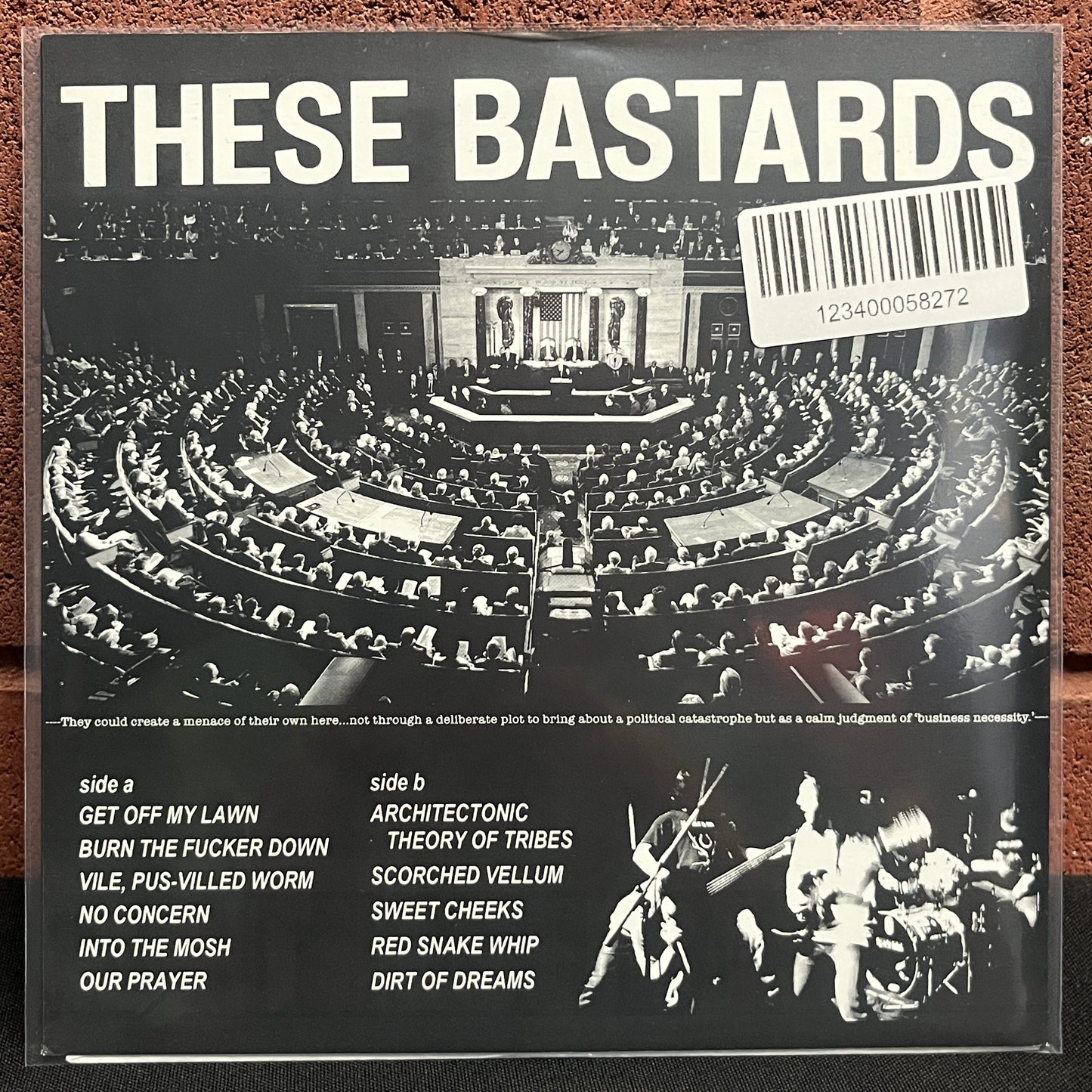 Used Vinyl: These Bastards "Old And Pissed" 7"