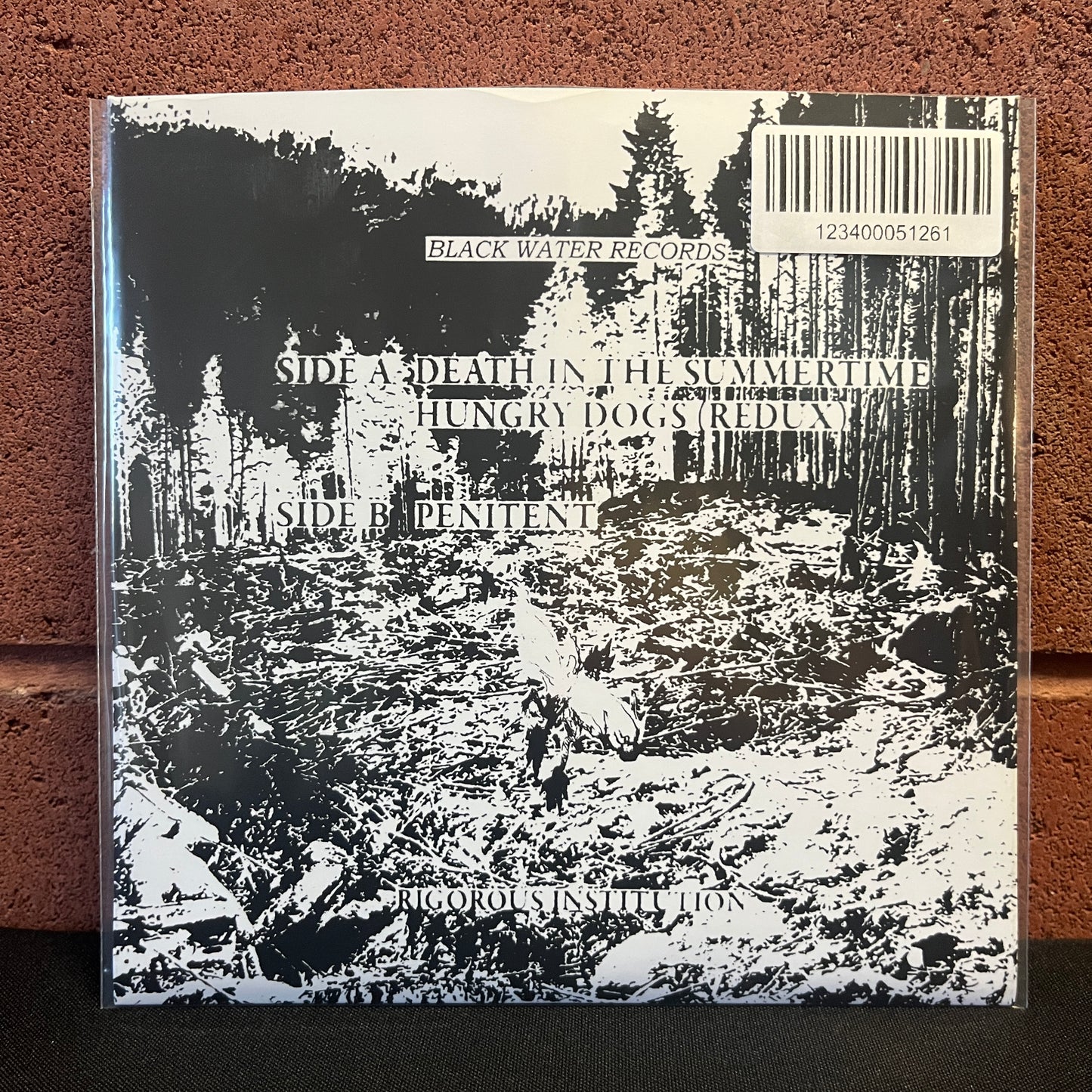 Used Vinyl: Rigorous Institution "Penitent" 7"