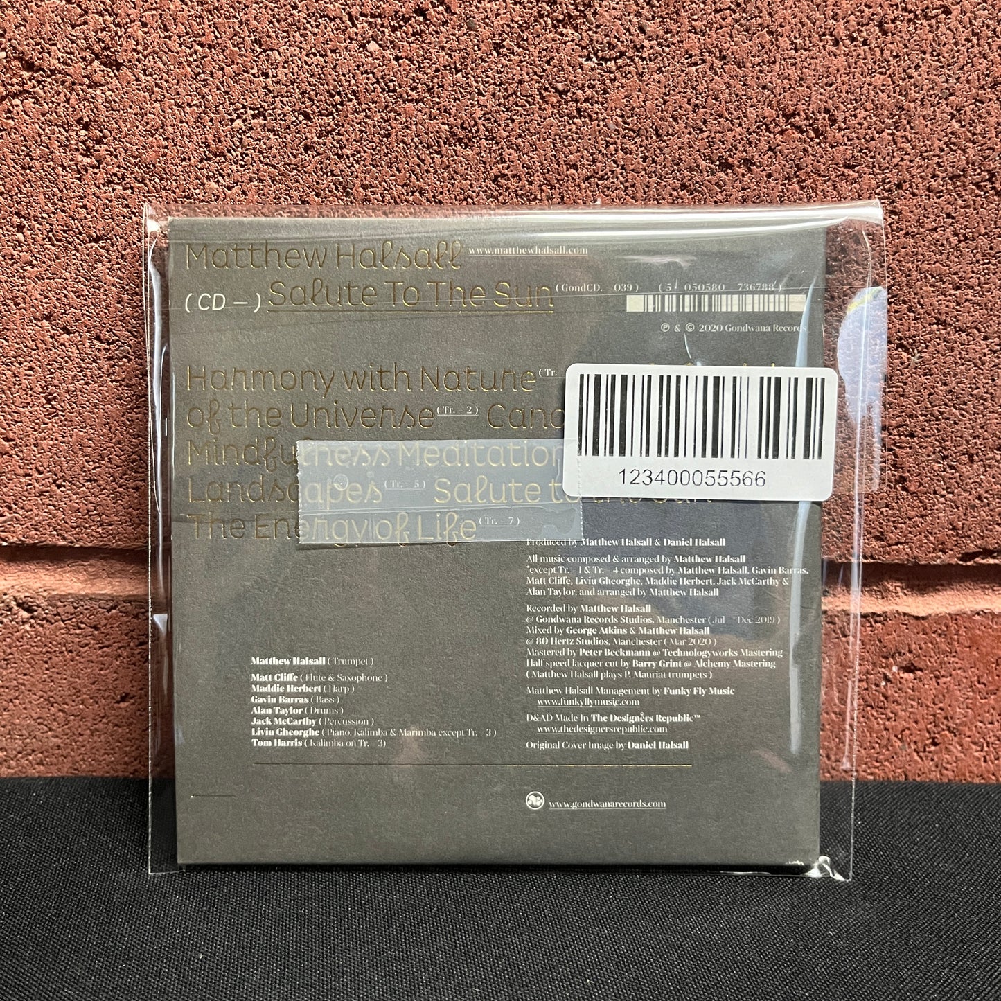 Used CD: Matthew Halsall "Salute To The Sun" CD