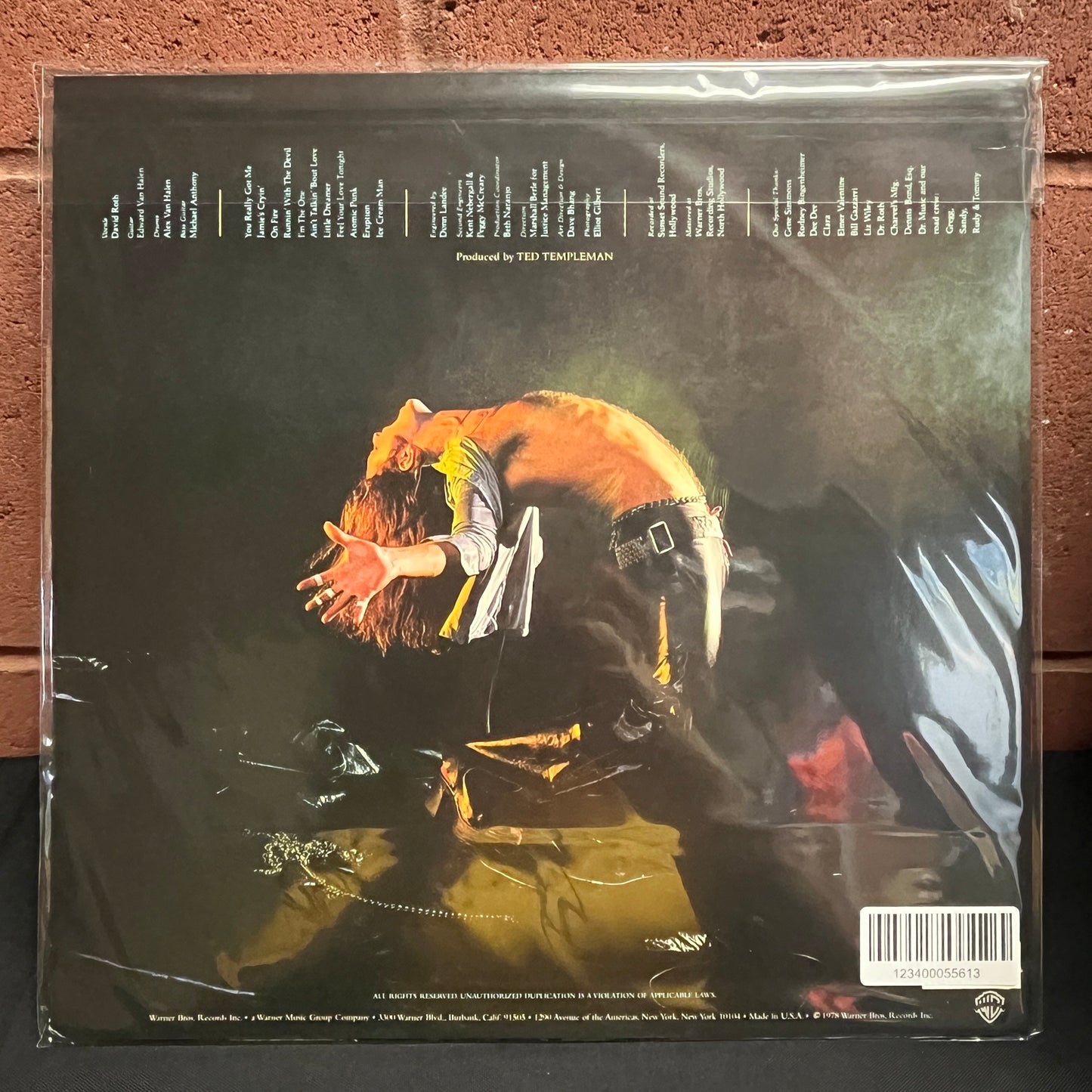 Used Vinyl: Van Halen "S/T" LP (2009 180gm Press)