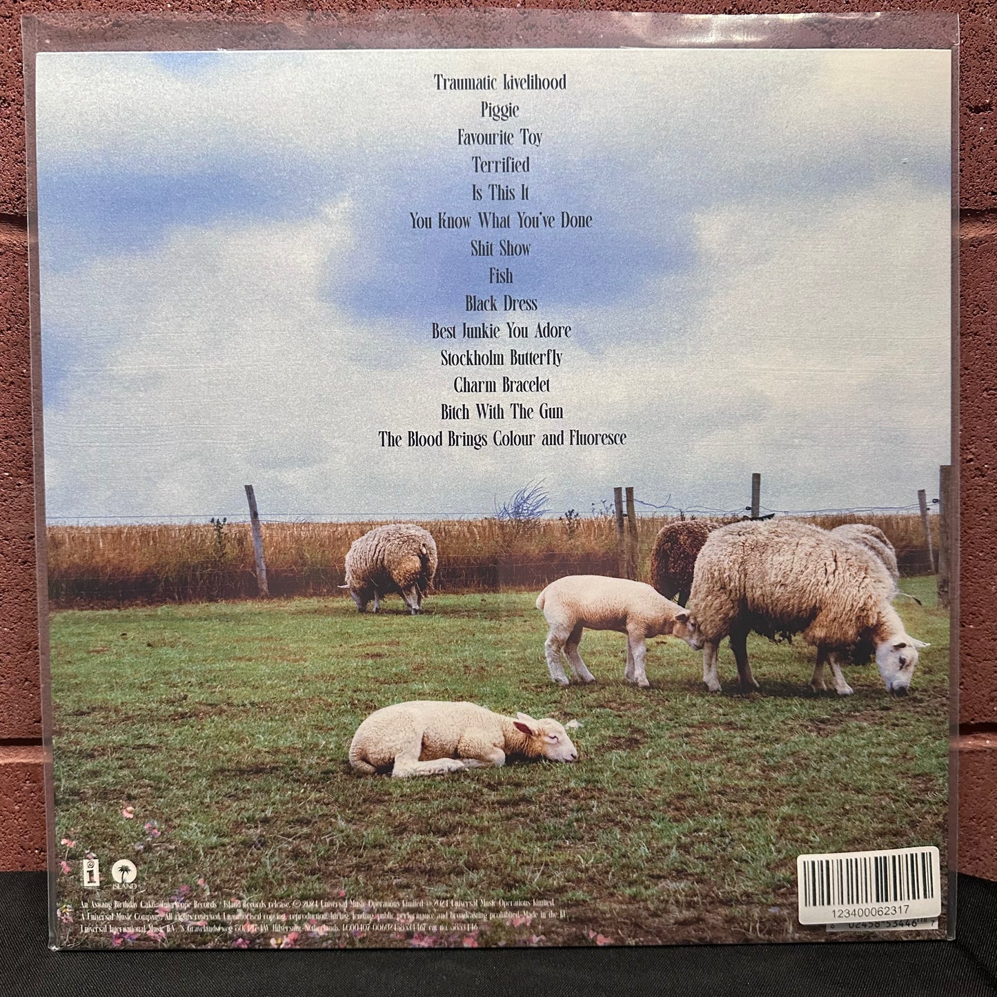 Used Vinyl: Jasmine Bean "Traumatic Livelihood" LP (Clear vinyl)