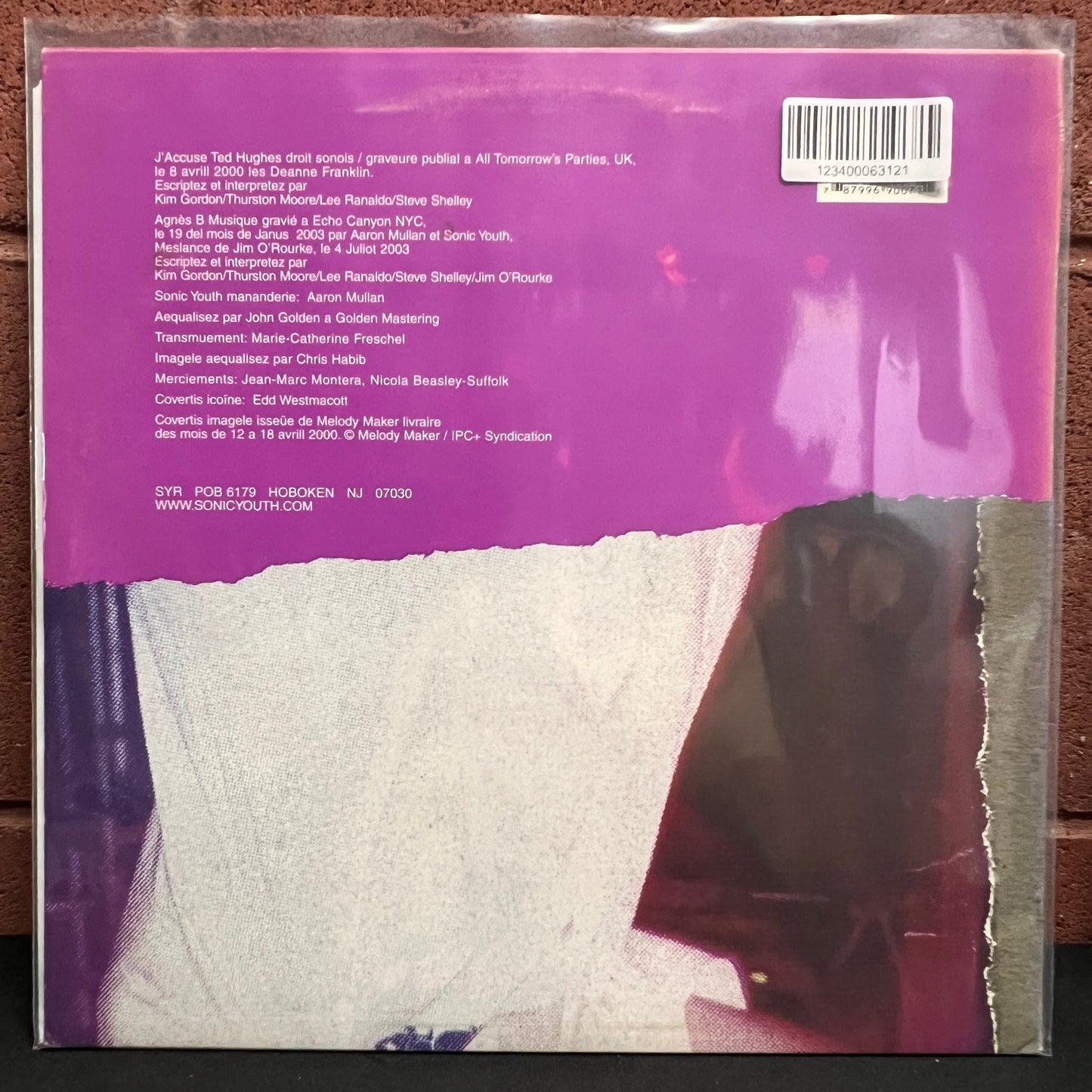 Used Vinyl: Sonic Youth "J'accuse Ted Hughes / Agnès B Musique" 12" (2008 Press)