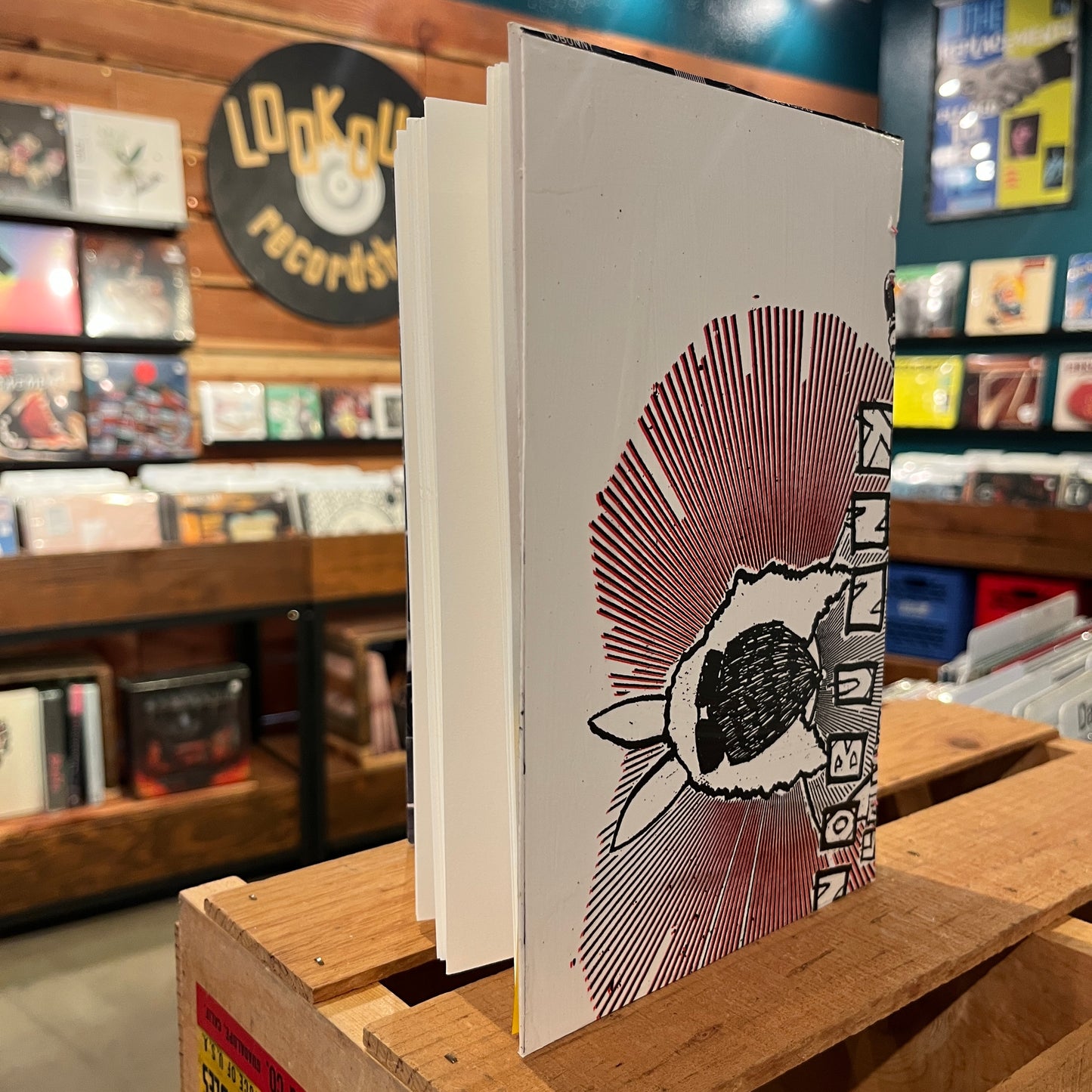 Nobunny Recycled Vinyl Sleeve Journal