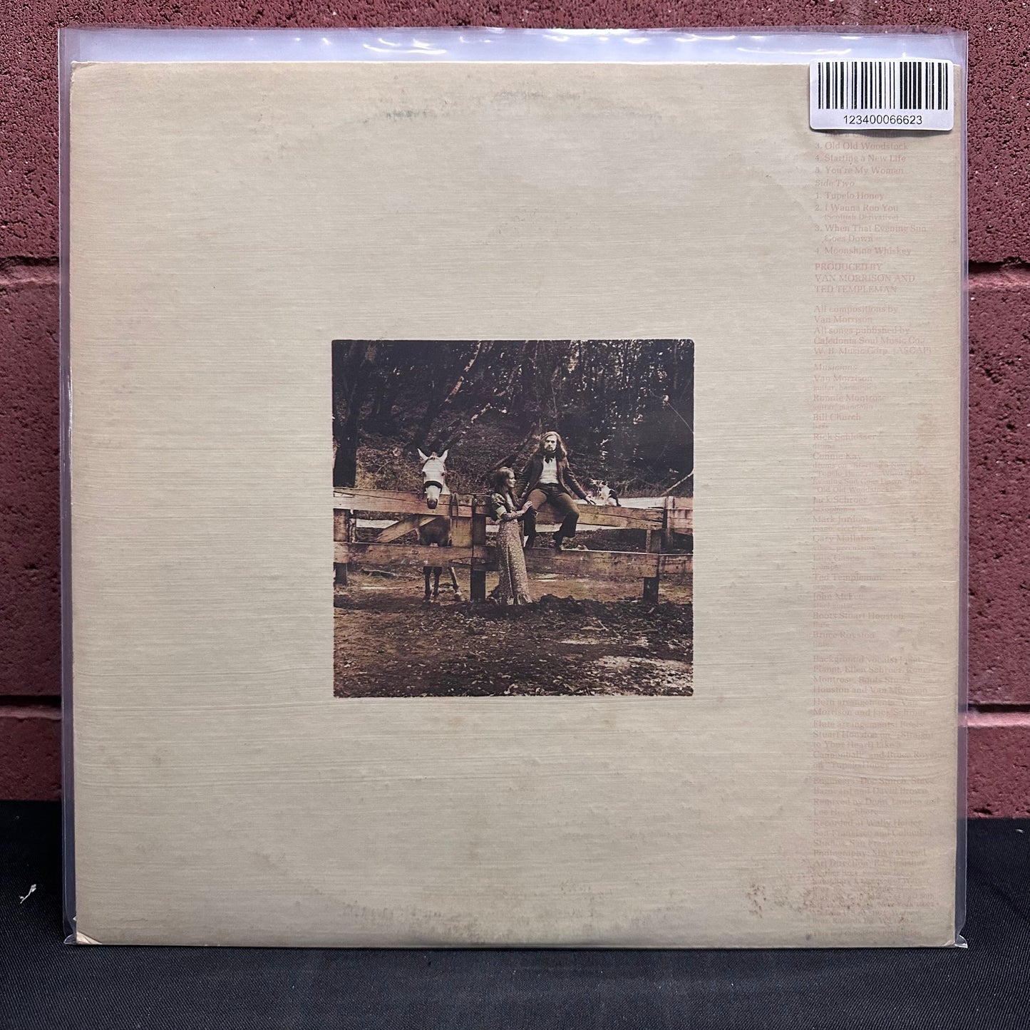 Used Vinyl: Van Morrison "Tupelo Honey" LP (1973 Press - w/Poster)