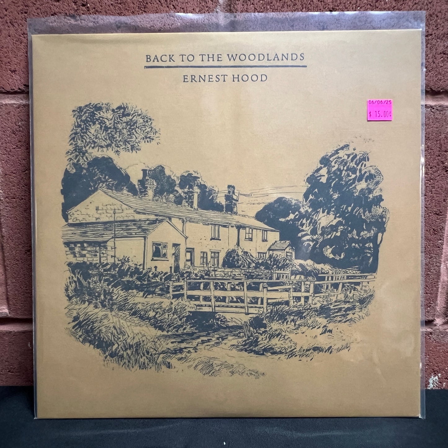 Used Vinyl: Ernest Hood "Back To The Woodlands" LP