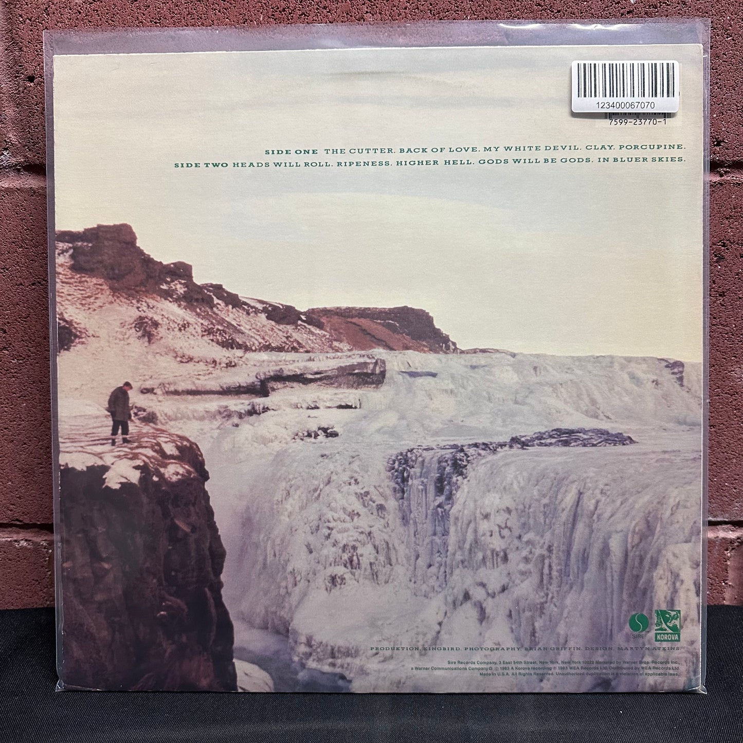 Used Vinyl: Echo & The Bunnymen "Porcupine" LP (1983 Press)
