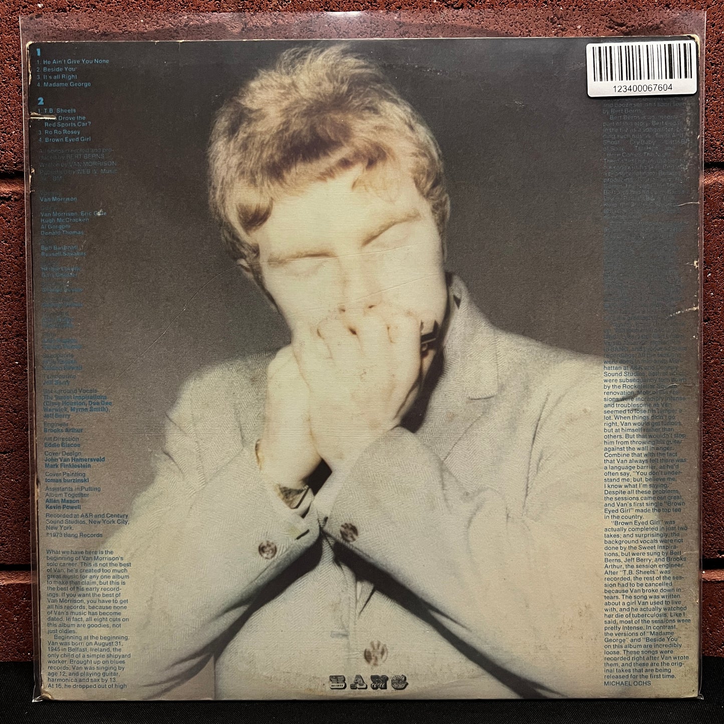 Used Vinyl: Van Morrison "T.B. Sheets" LP (1973 Press)