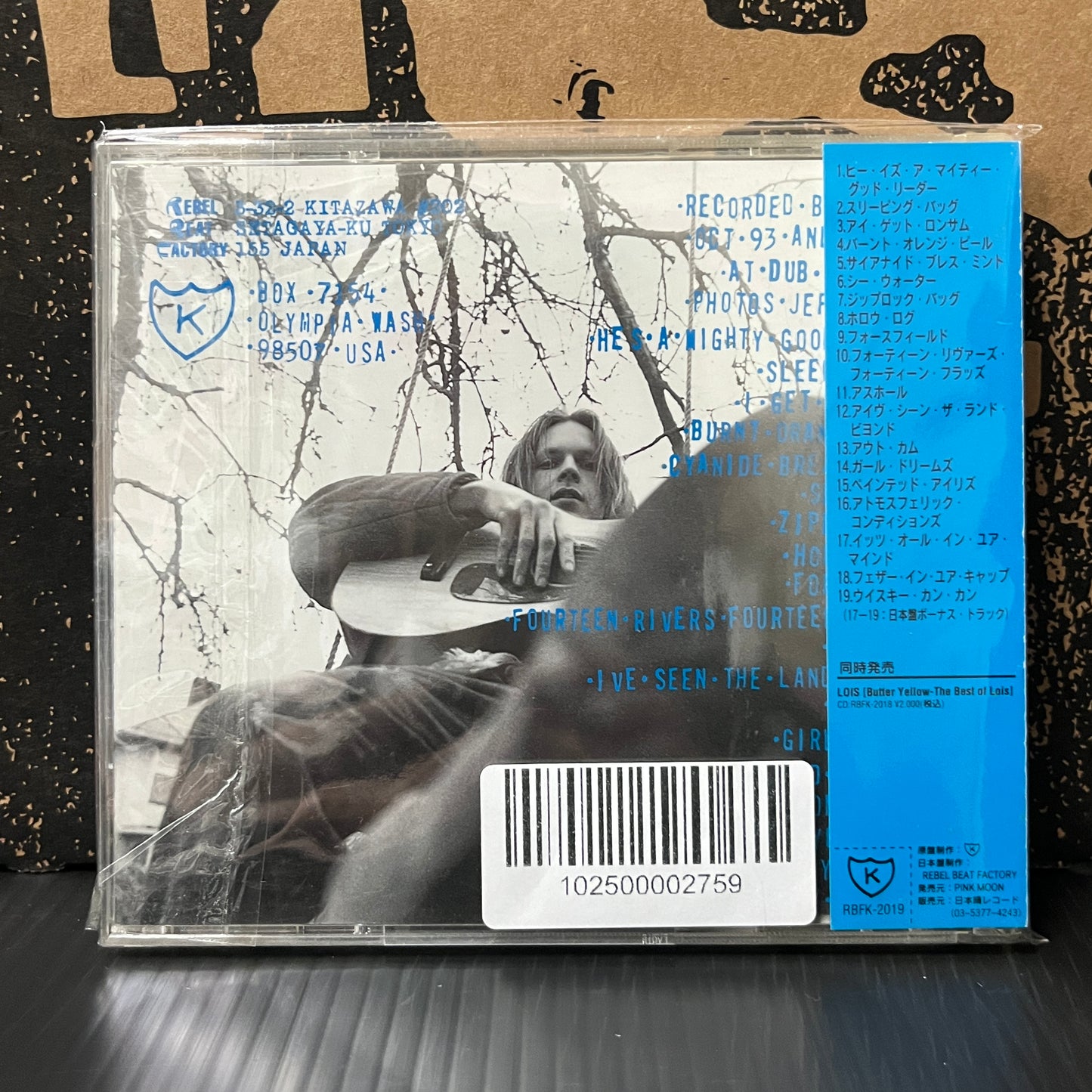 Used CD: Beck "One Foot In The Grave" CD (1996 Japanese Press w/ Bonus Tracks)