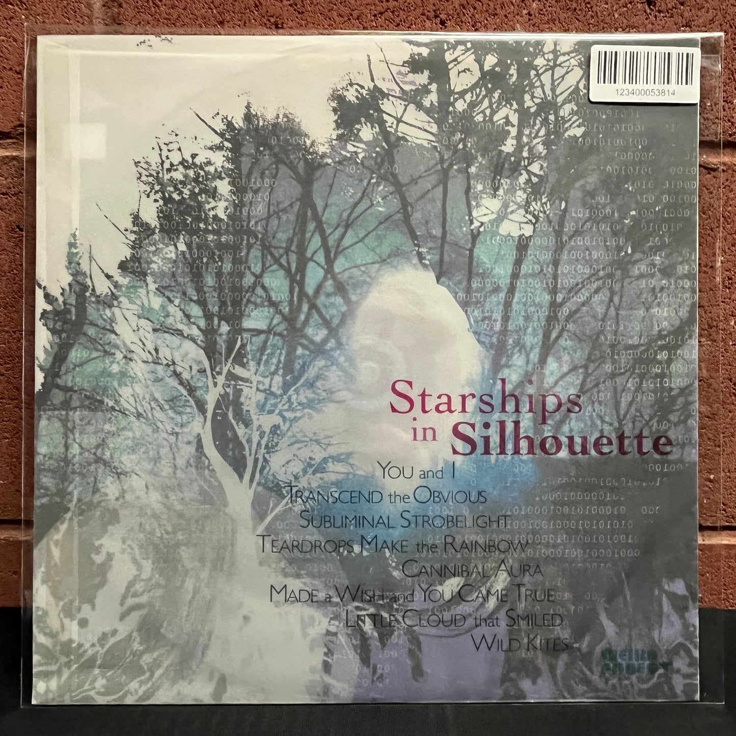 Used Vinyl: Sally Strobelight "Starships In Silhouette" LP