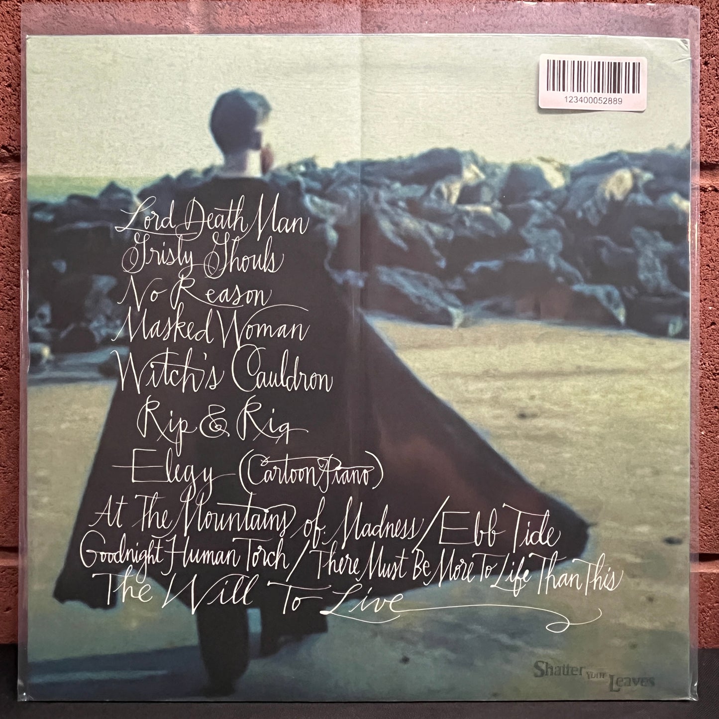 Used Vinyl: Sam Mickens "Slay and Slake" LP