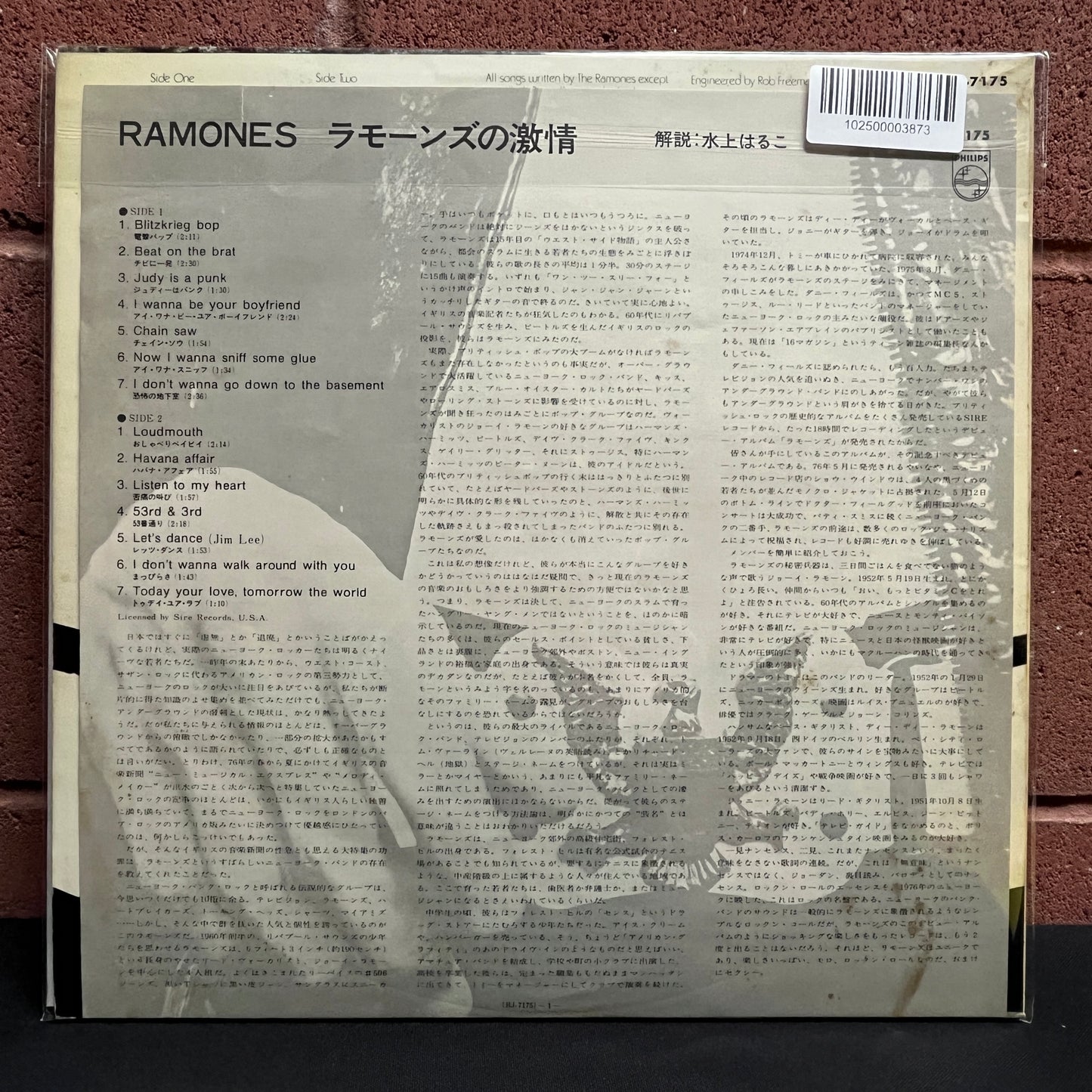 Used Vinyl: Ramones "S/T" LP (1976 Japanese Press)