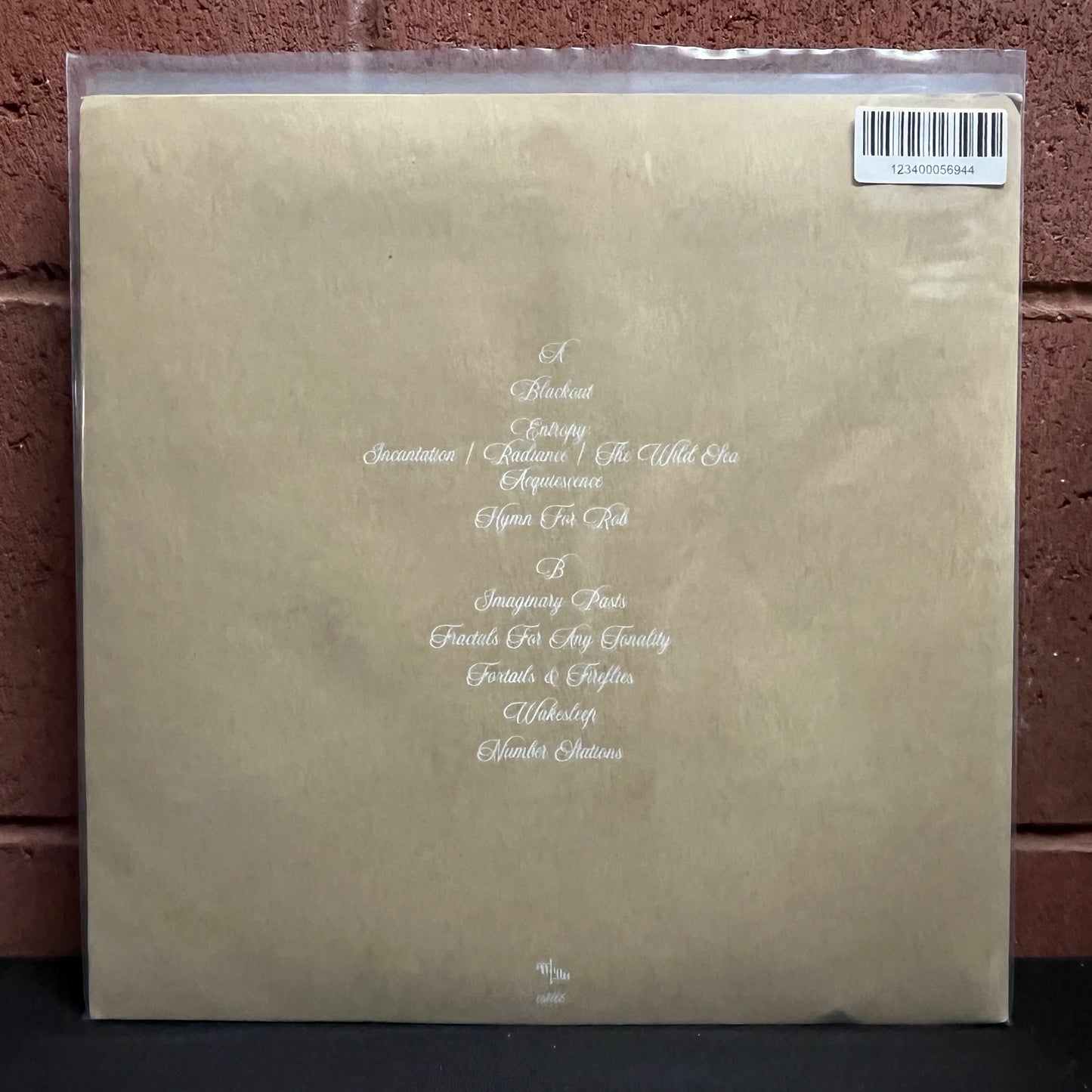 Used Vinyl: Esmerine "Everything Was Forever Until It Was No More" LP