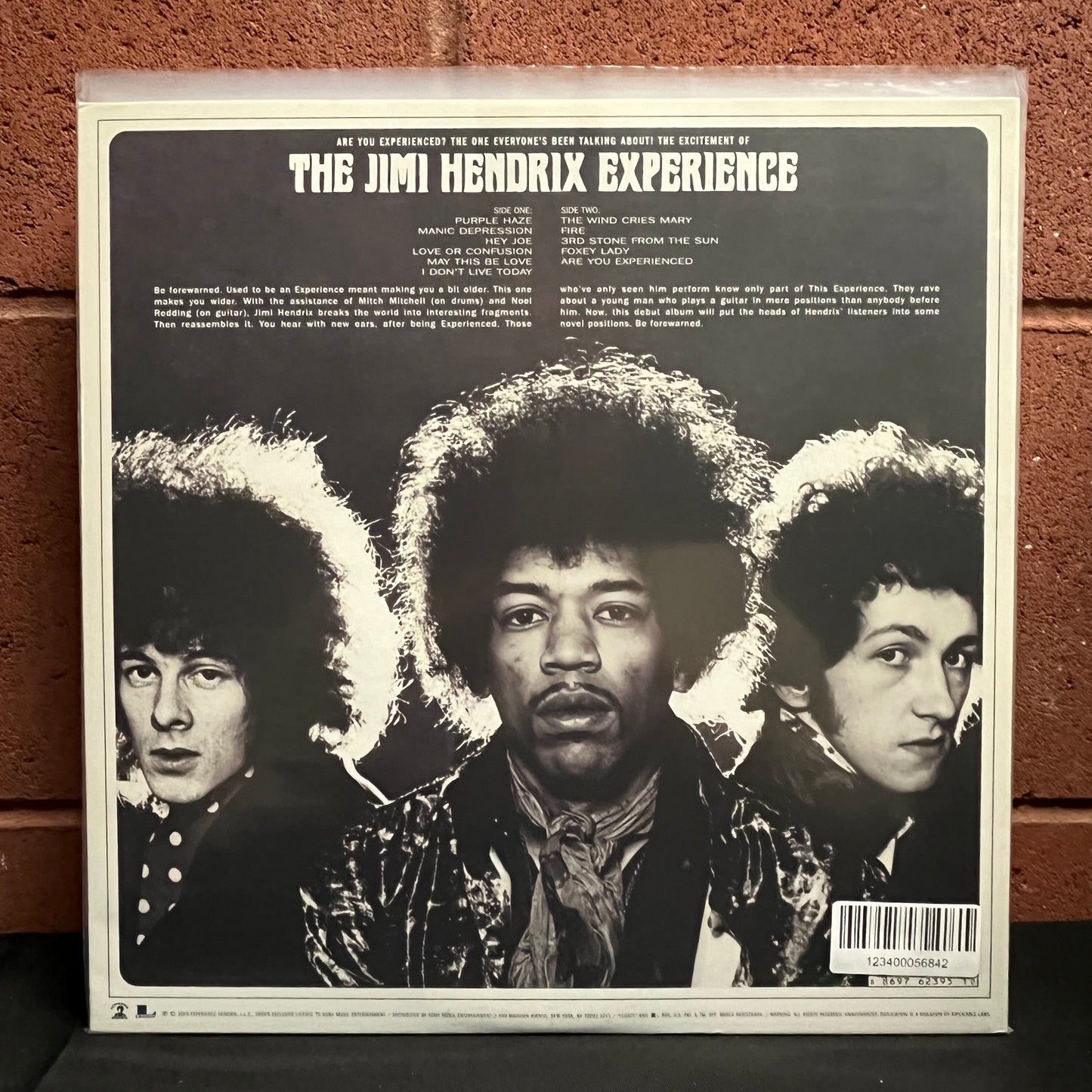 Used Vinyl: The Jimi Hendrix Experience "Are You Experienced" LP (2010 180gm Press)