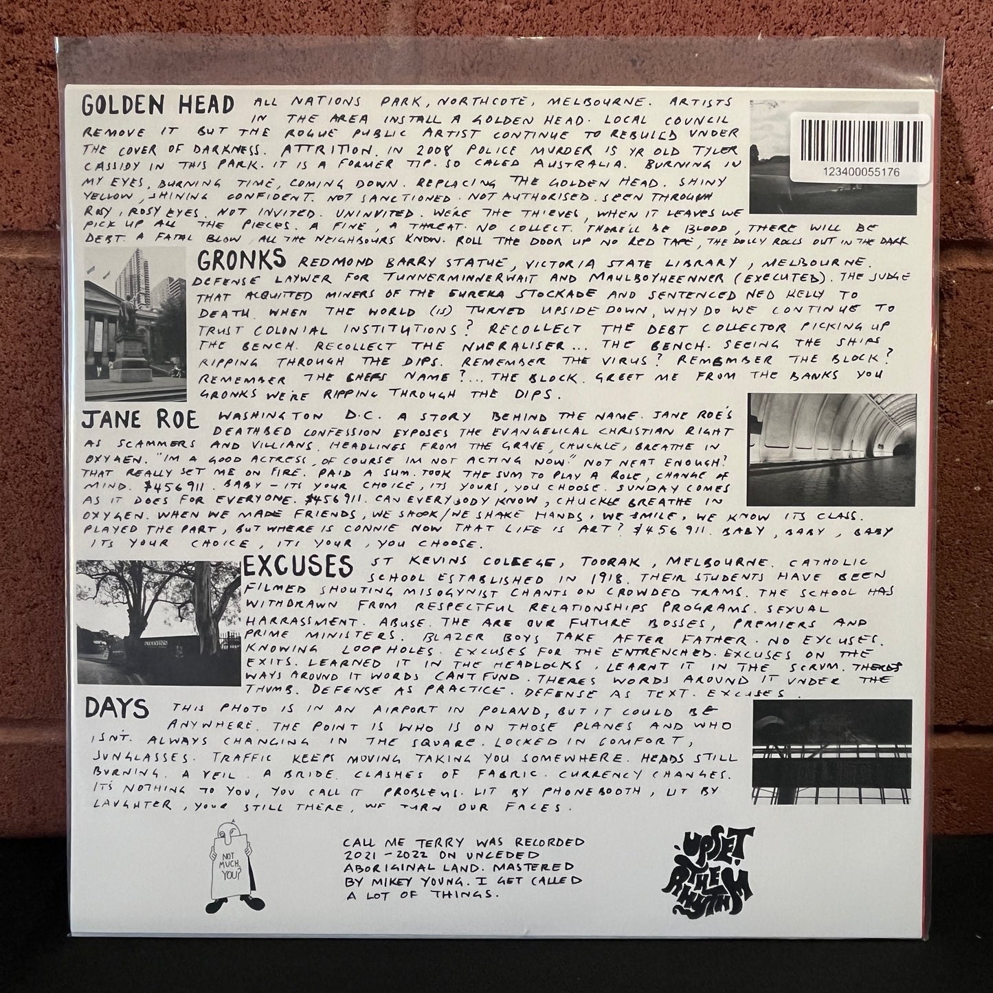 Used Vinyl: Terry "Call Me Terry" LP