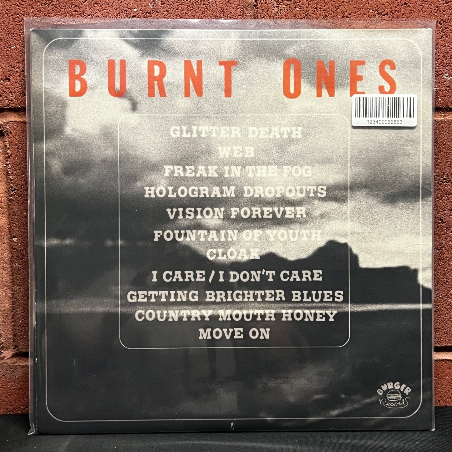 Used Vinyl: Burnt Ones "You'll Never Walk Alone" LP