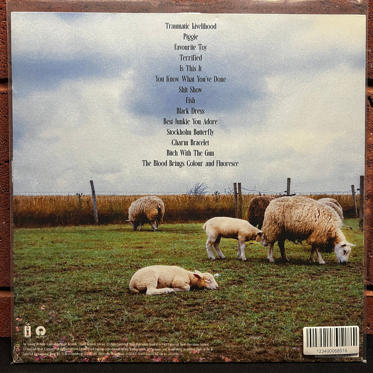 Used Vinyl: Jazmin Bean "Traumatic Livelihood" LP (2024 Press - Clear Vinyl)