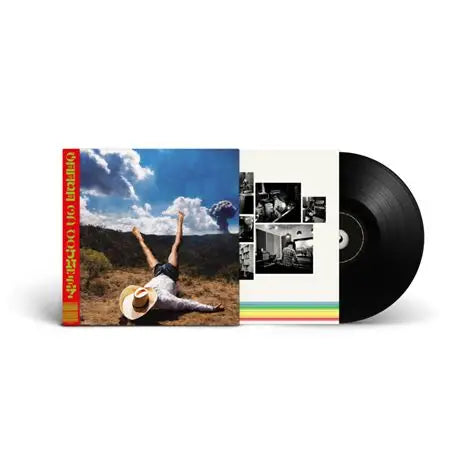 Geese "3D Country" LP (Black Vinyl)