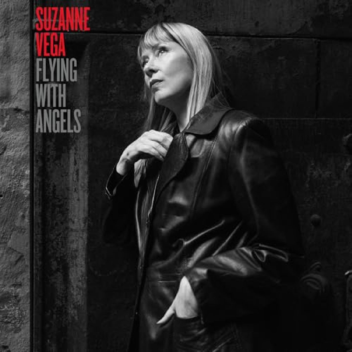 Suzanne Vega "Flying With Angels" CD