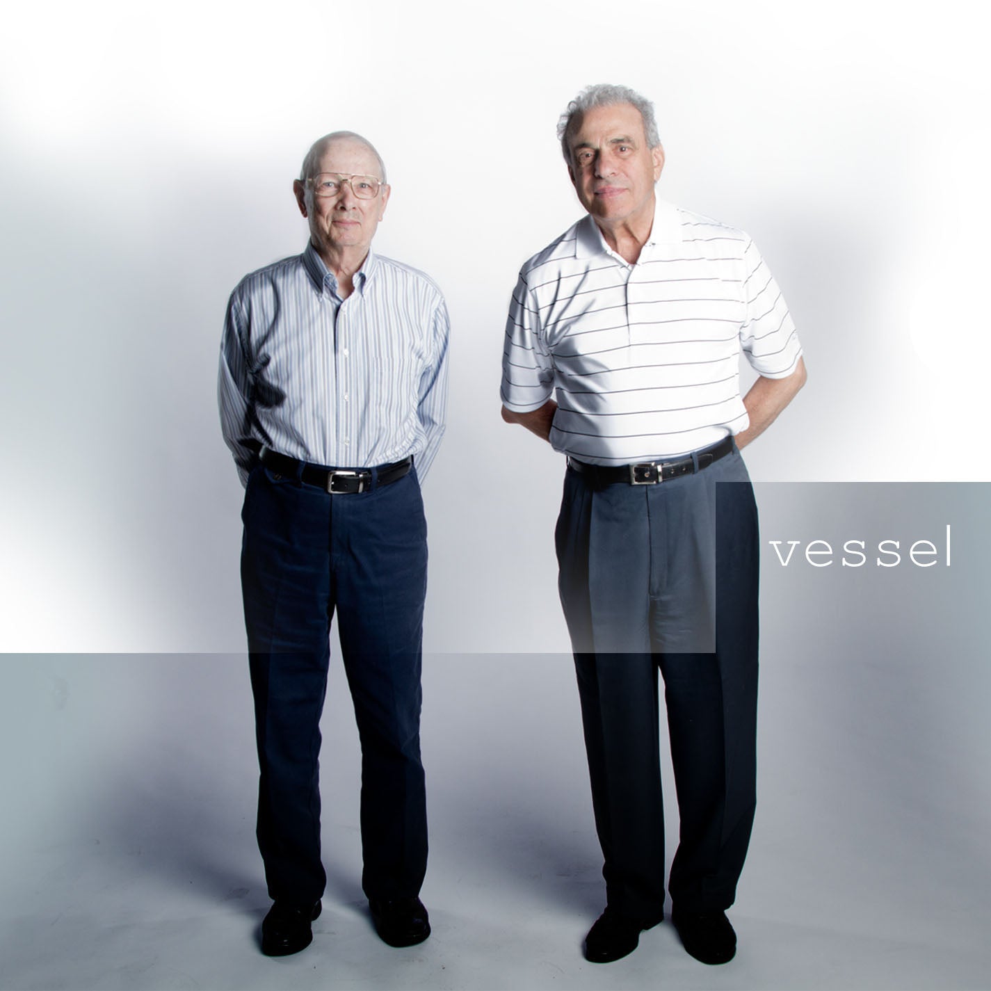 Twenty One Pilots "Vessel" LP (Clear Vinyl)