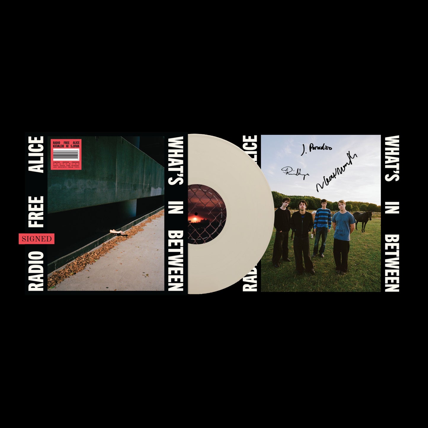 PRE-ORDER: Radio Free Alice "What's In Between" LP (Indie Exclusive Cream Vinyl + Signed Insert)
