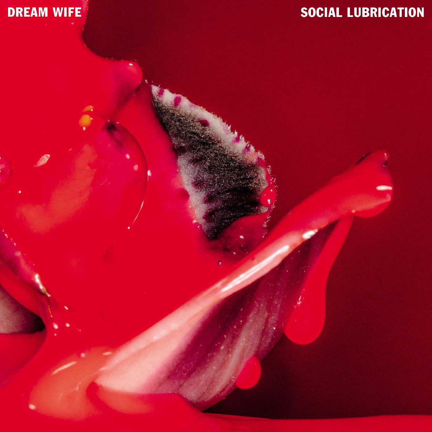Dream Wife "Social Lubrication" LP (Red Vinyl)