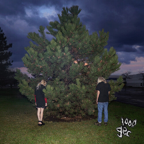 100 Gecs "1000 Gecs" LP