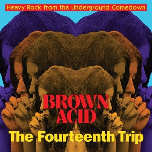V/A "Brown Acid - Fourteenth Trip" LP
