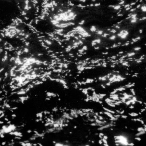 Grouper "A I A : Dream Loss" LP