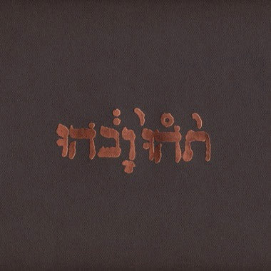Godspeed You Black Emperor! "Slow Riot For New Zero Kanada E.P." 12" EP