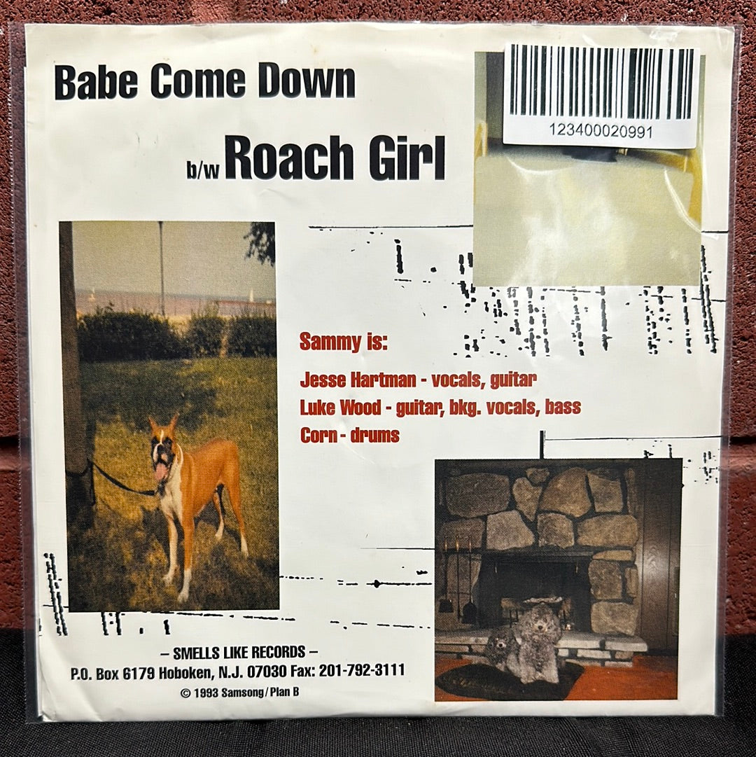 Used Vinyl:  Sammy ”Babe Come Down” 7"