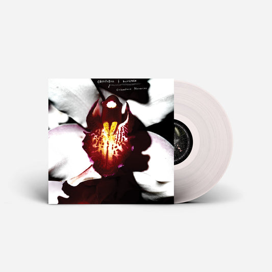 David Lynch & Chrystabell "Cellophane Memories" LP (Clear Vinyl)