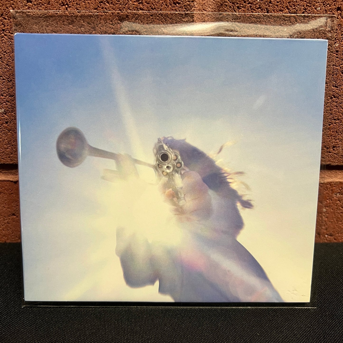 Used CD: Geese "Getting Killed" CD