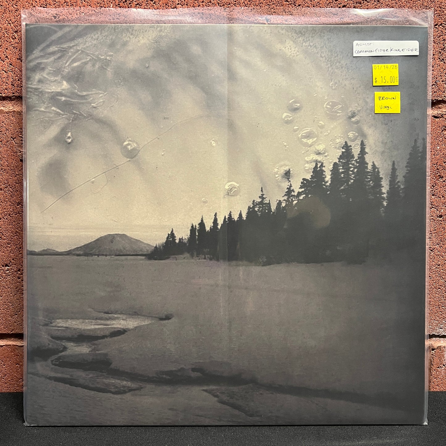 Used Vinyl: Common Eider King Eider "Taaleg Uksur" LP (Brown vinyl)