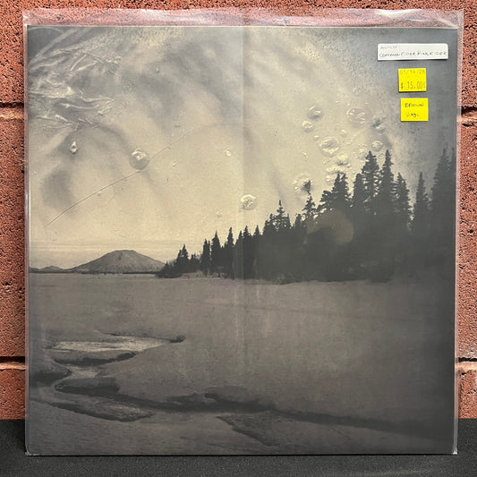Used Vinyl: Common Eider King Eider "Taaleg Uksur" LP (Brown vinyl)