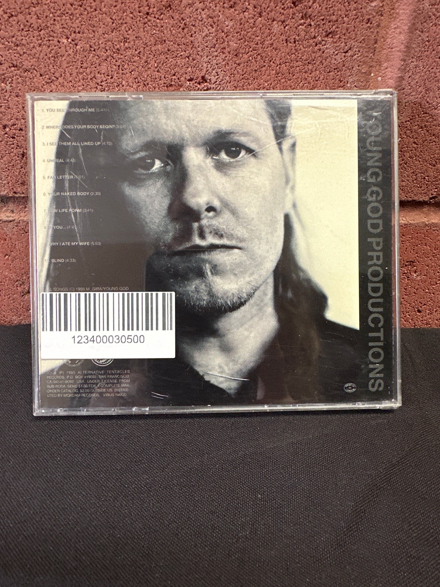 USED CD: Michael Gira "Drainland" CD