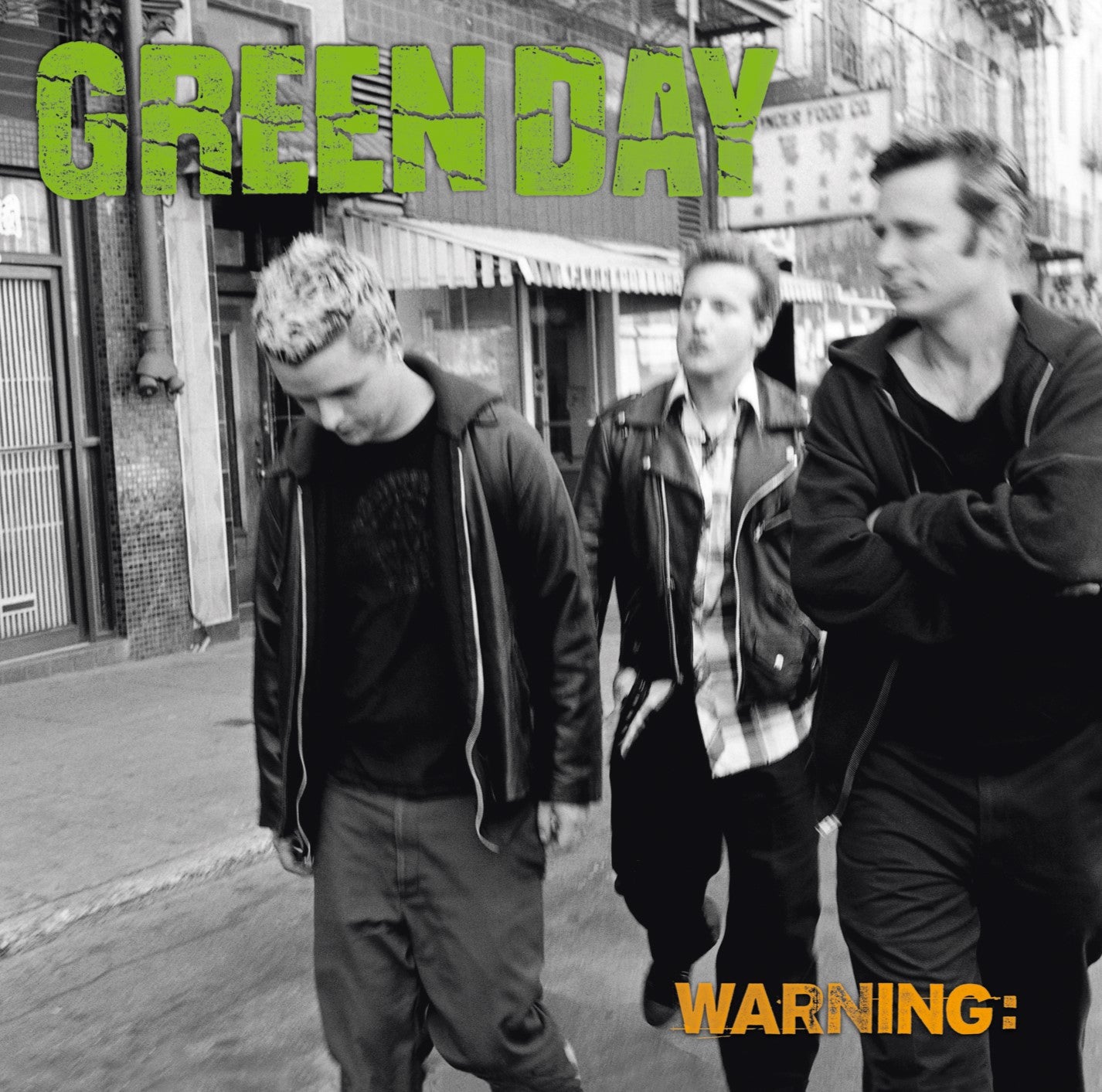 Green Day "Warning" LP (Green)