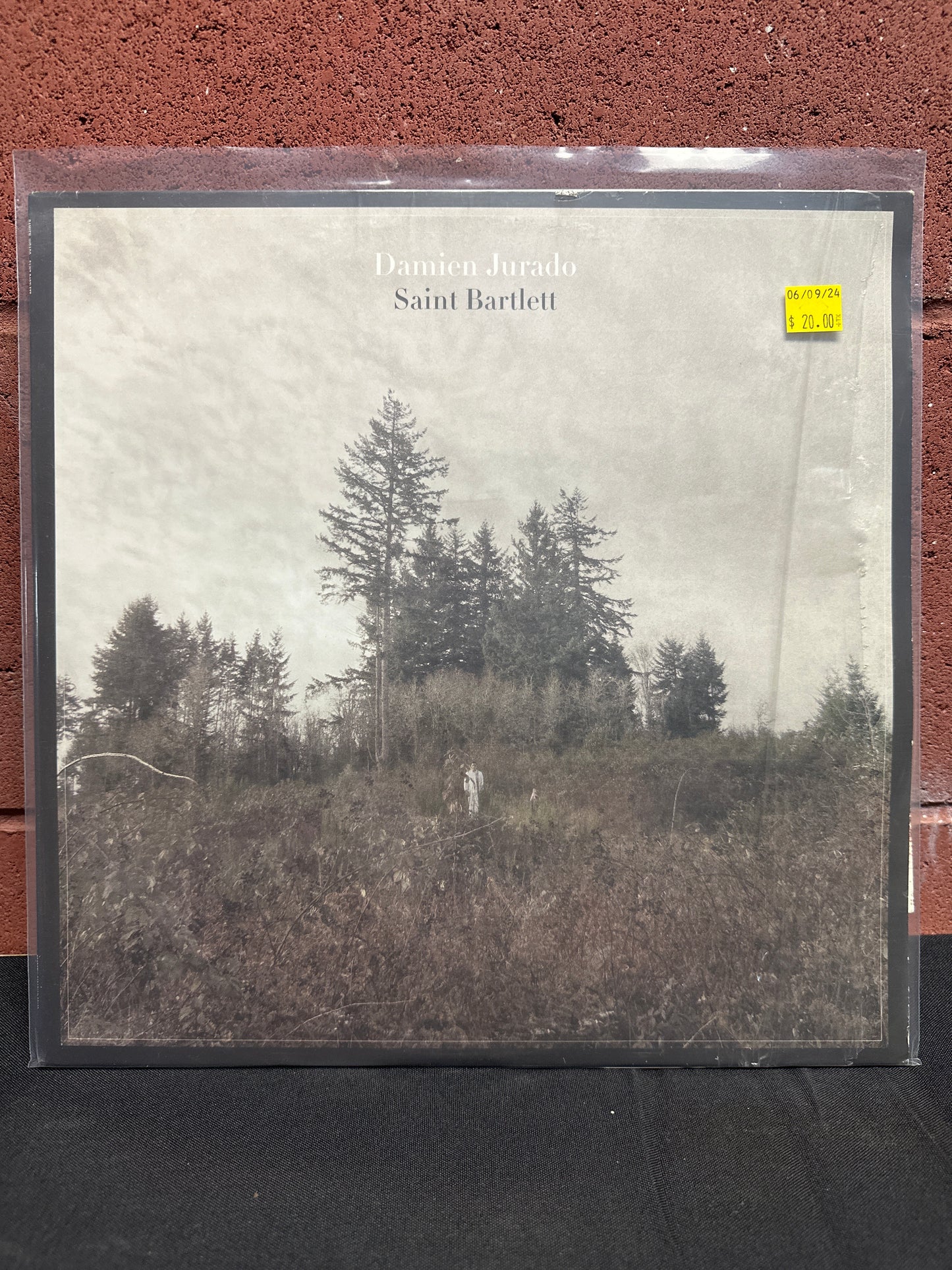 Used Vinyl:  Damien Jurado ”Saint Bartlett” LP