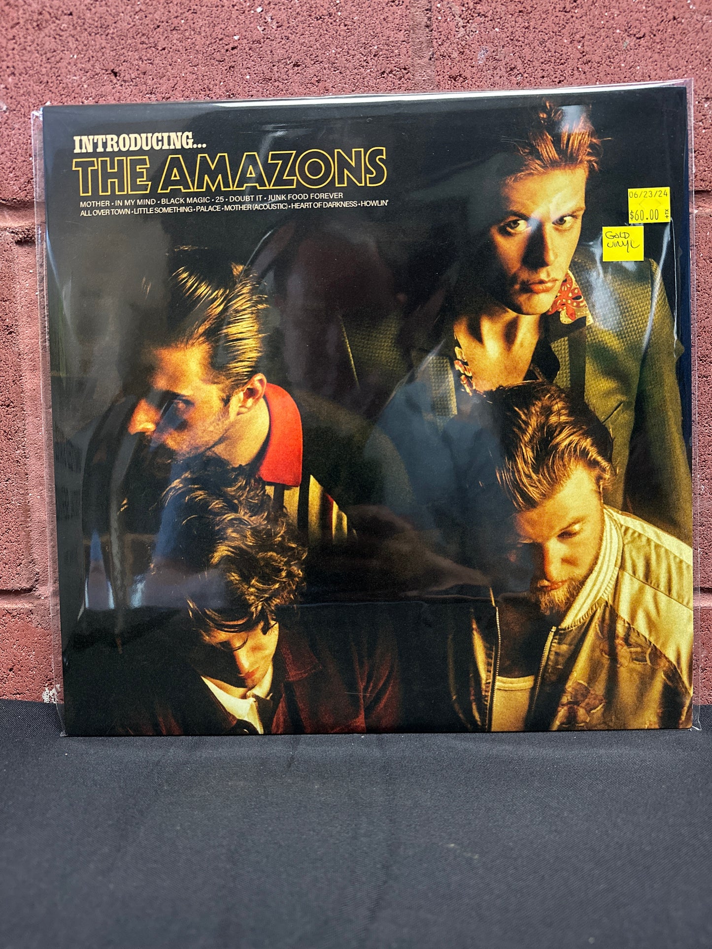 Used Vinyl:  The Amazons ”Introducing...The Amazons” 12"