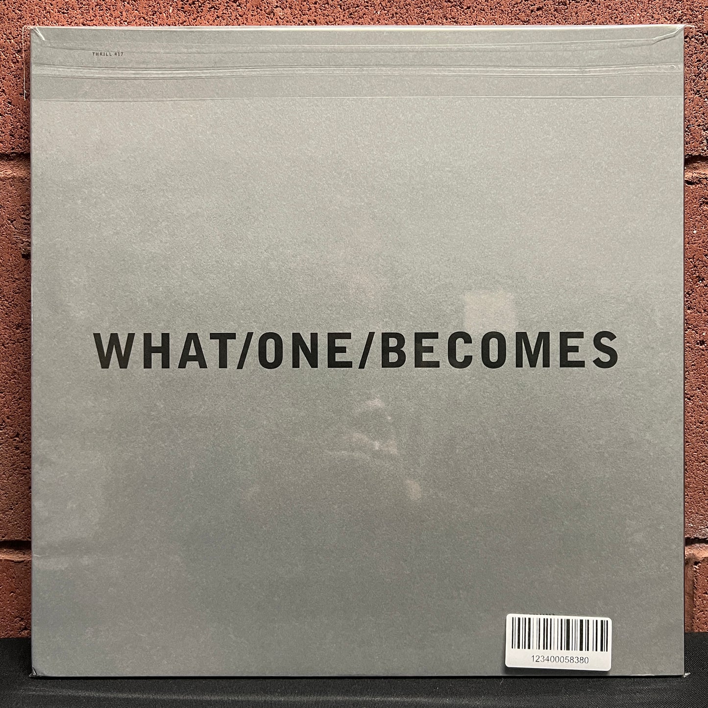Used Vinyl: Sumac "What One Becomes" 2xLP (Gray Marbled vinyl)