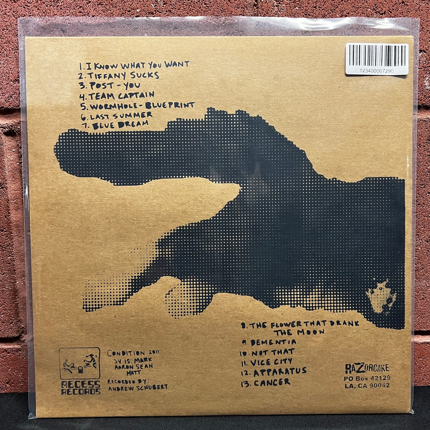 Used Vinyl: Summer Vacation "Condition" LP (2012 Press - Screen Printed Sleeve)
