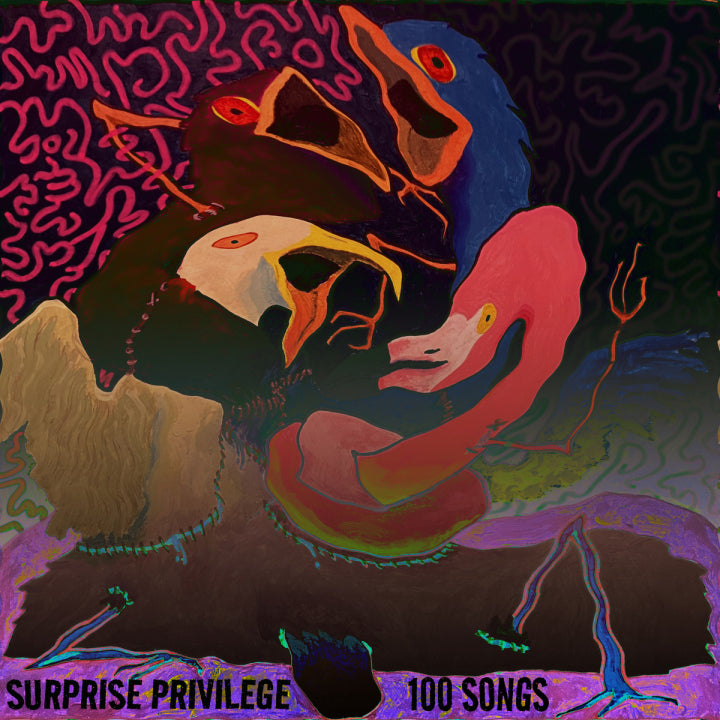 Surprise Privilege "100 Songs" 7"