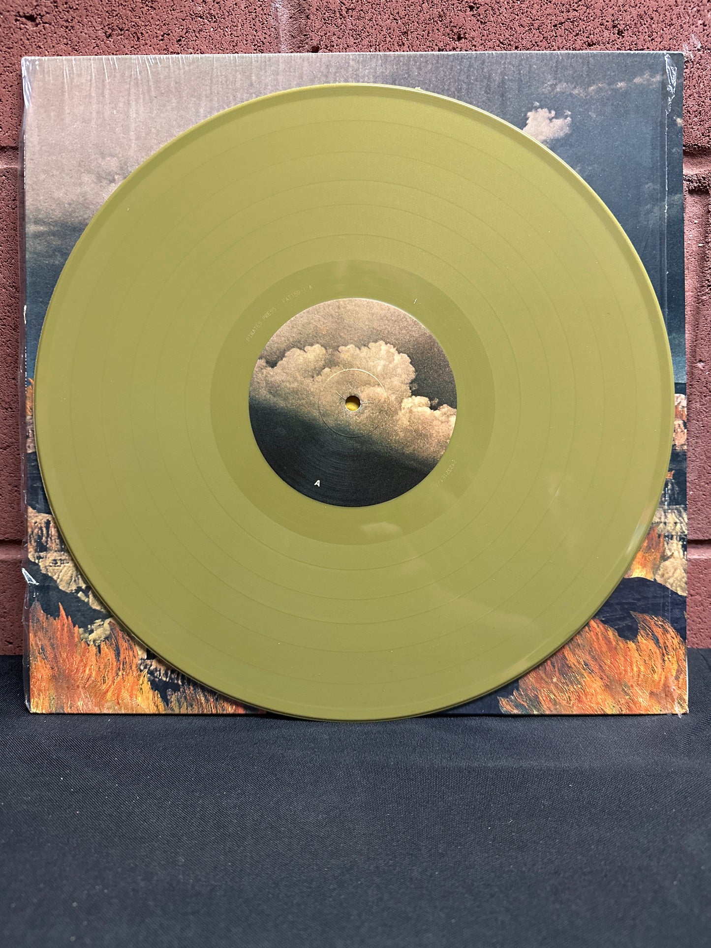 Used Vinyl:  The Flatliners "New Ruin" LP (Gold Band Edition)