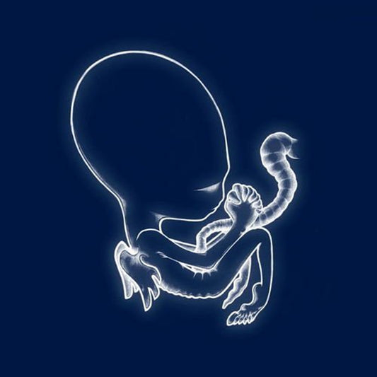 Sigur Ros "Agætis Byrjun" 2xLP