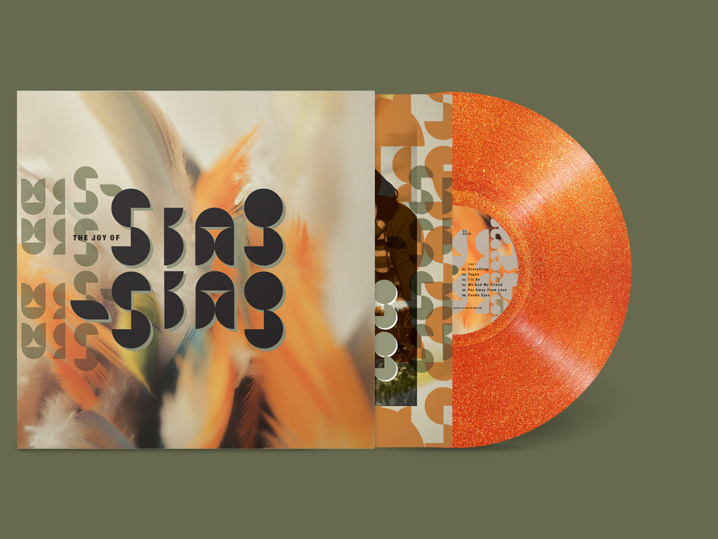 PRE-ORDER: Sing-Sing "The Joy of Sing-Sing" LP (Limited Edition Orange Glitter Vinyl)